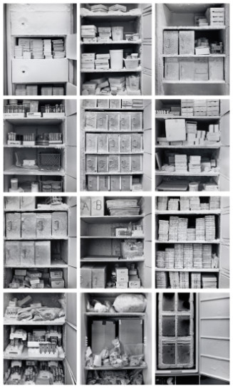 Twelve individual photographs; still lifes of evidence of genetic samples in a -86 degree freezer.