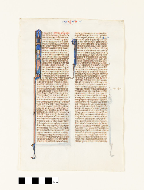 Bible Leaf, Haggai