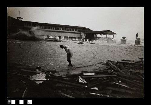 Courtesy of the Harn Museum of the Harn Museum of Art, Photography by Foad Seyed Mohammadi