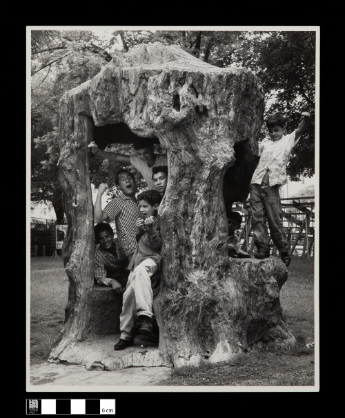 Courtesy of the Harn Museum of the Harn Museum of Art, Photography by Foad Seyed Mohammadi