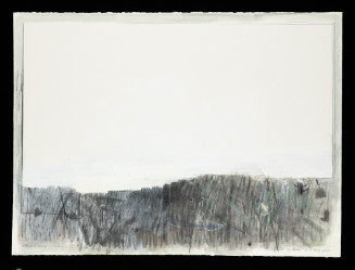  Artwork on paper featuring a bottom section of dark, scribbled, vertical gray and black marks of burned grass and weeds, with a faint outline of a snake within the terrain. The upper portion and skyline is blank.