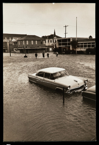 Courtesy of the Harn Museum of Art, Photography by Foad Seyed Mohammadi