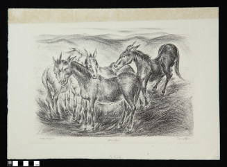 Mules