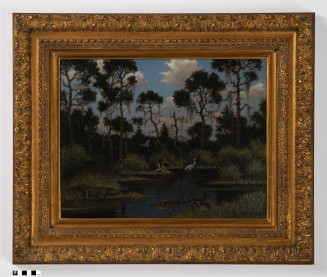 Swamp Scene
